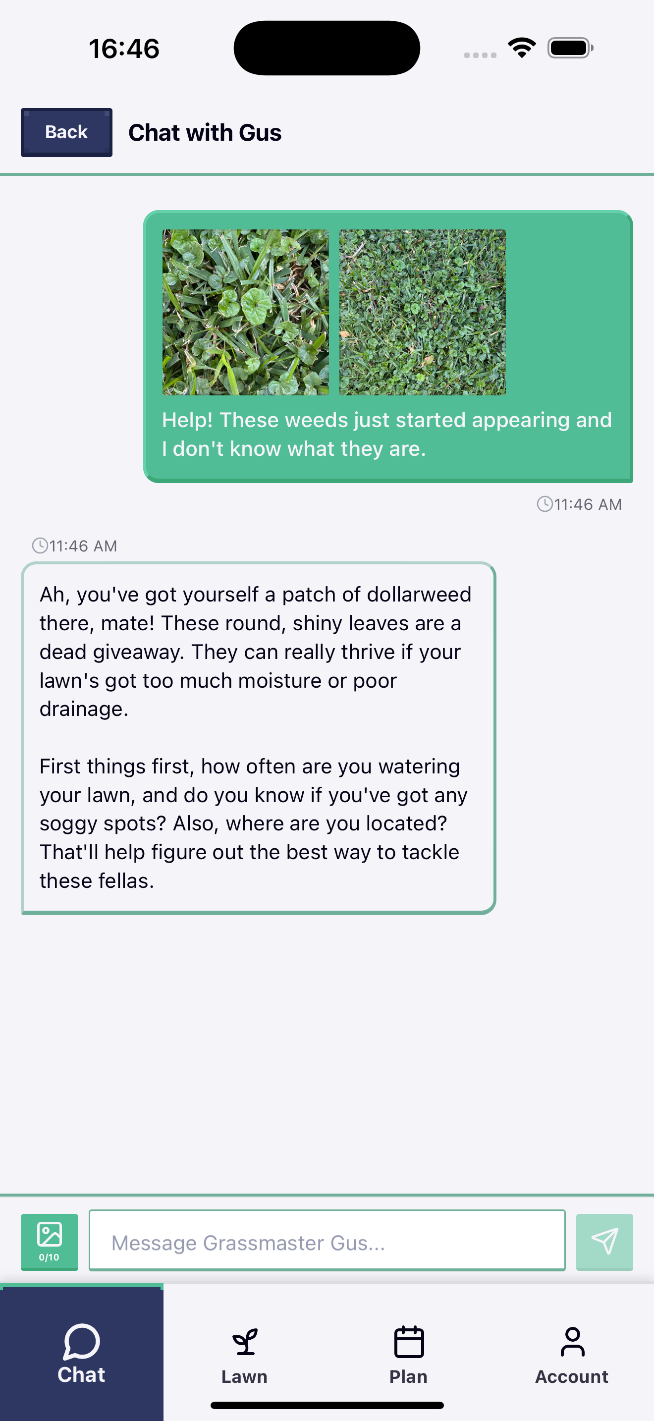 Chat with Grassmaster Gus